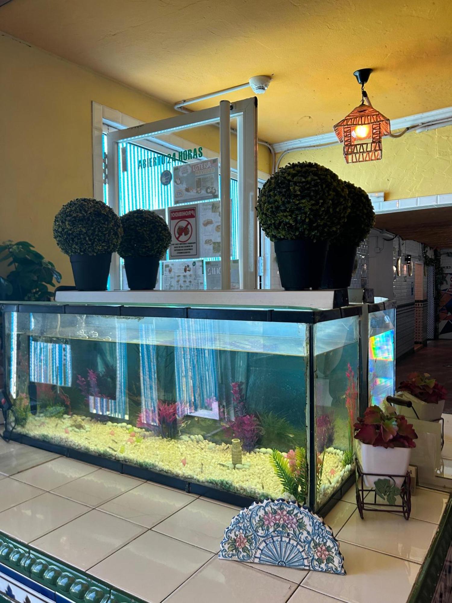 Hostal Avenida Andalucia - Solo Adultos Севилья Экстерьер фото
